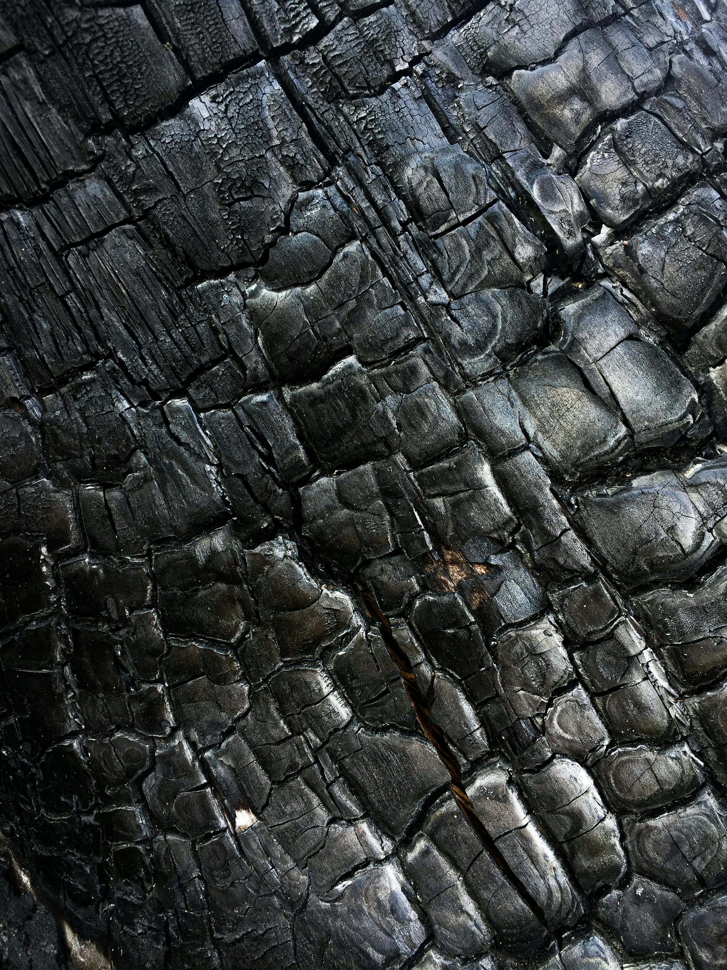 Hemp-based Biochar
